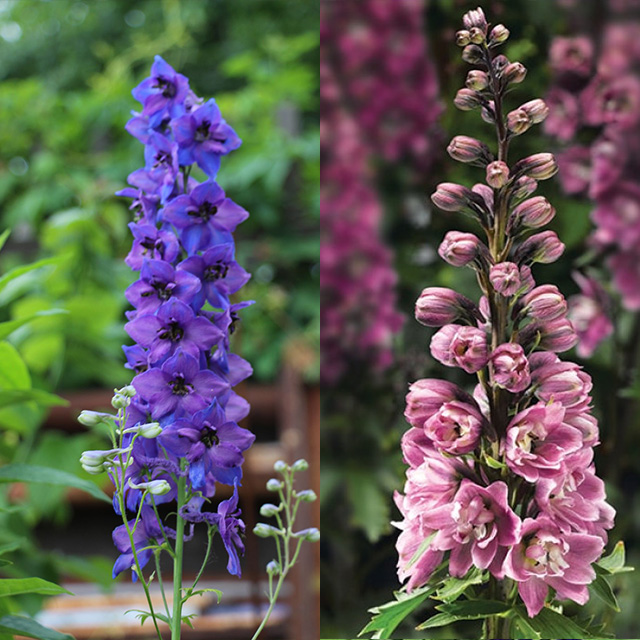 Фото 2