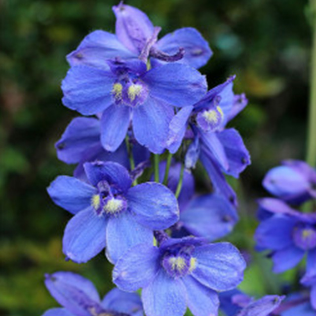 Фото 6
